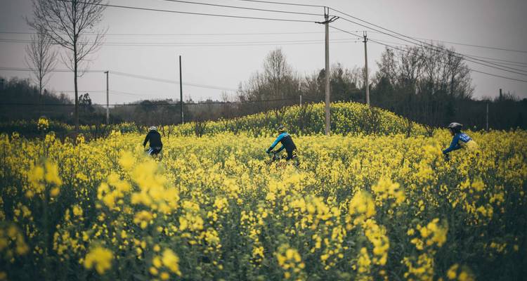 Cycle de 9 jours Royaume des pandas, province du Sichuan, Chine - Sichuan Adventure 9