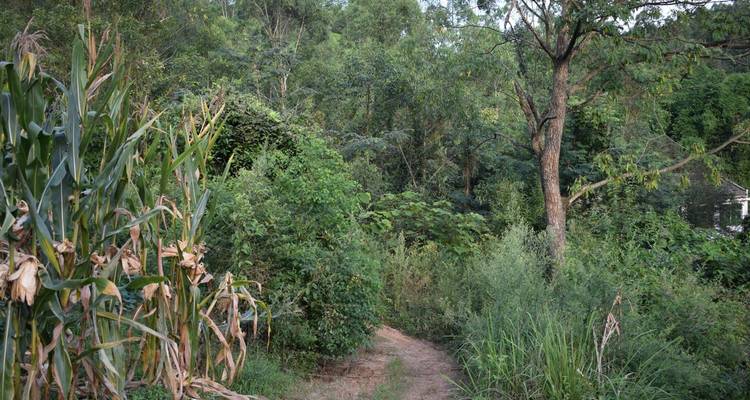 Cycle de 14 jours entre Chengdu et Guiyang : pandas, dinosaures, liqueurs de haute qualité et villes anciennes - Sichuan Adventure 4