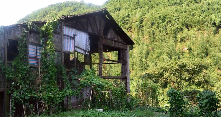Cycle de 14 jours entre Chengdu et Guiyang : pandas, dinosaures, liqueurs de haute qualité et villes anciennes - Sichuan Adventure 8