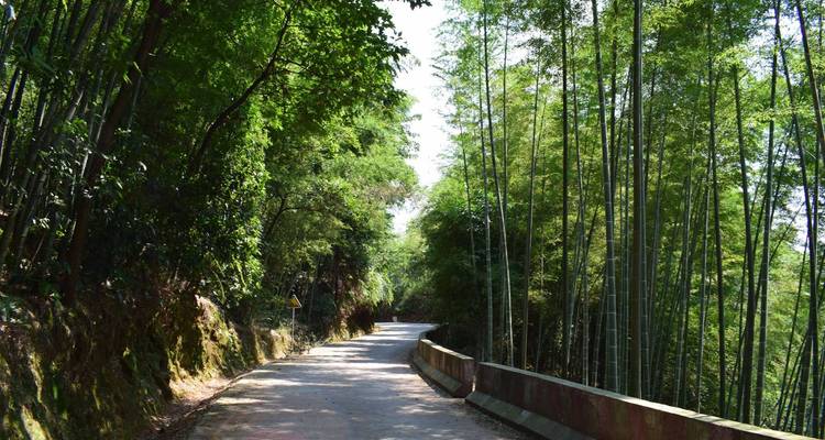 Cycle de 14 jours entre Chengdu et Guiyang : pandas, dinosaures, liqueurs de haute qualité et villes anciennes - Sichuan Adventure 2