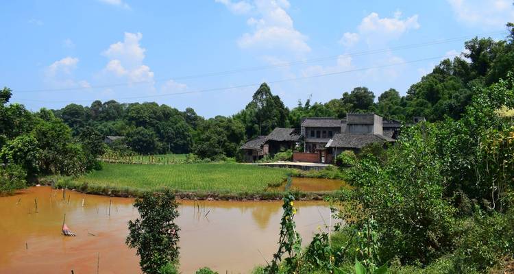 Cycle de 14 jours entre Chengdu et Guiyang : pandas, dinosaures, liqueurs de haute qualité et villes anciennes - Sichuan Adventure 6