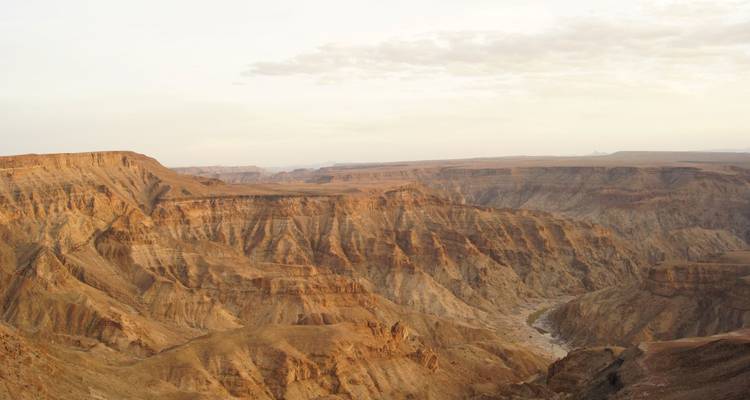 Aventura privada de 3 días en Etosha - Lark Journeys 7