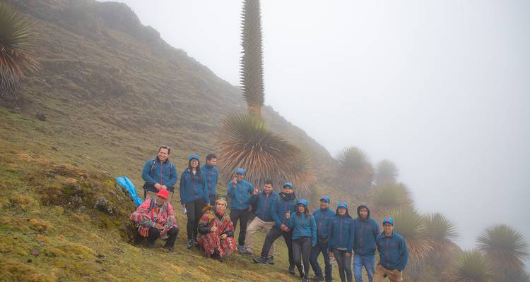 Trek de Lares et le court Chemin Inca jusqu'au Machu Picchu - 5 jours et 4 nuits - TreXperience 4