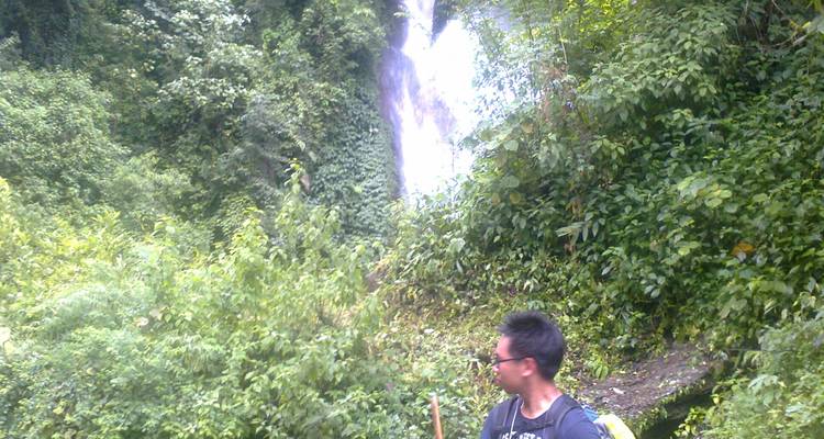 Person, die in der Nähe eines Wasserfalls in einem üppig grünen Wald steht.