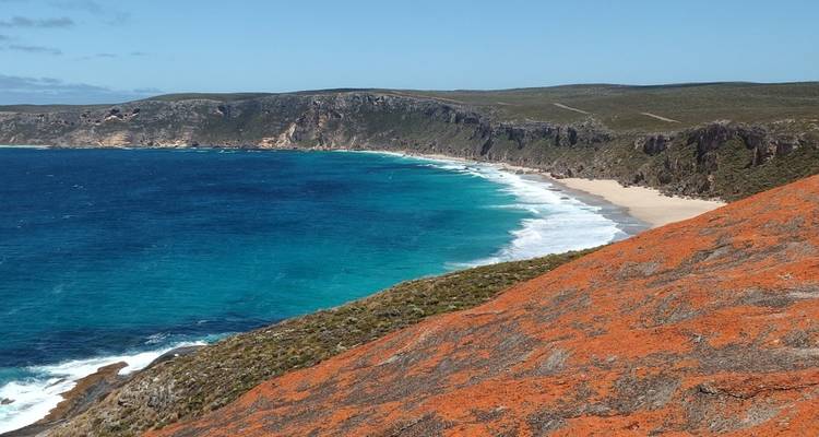 Escapada a la Great Ocean Road y la isla Canguro - 7 días - Trafalgar 4