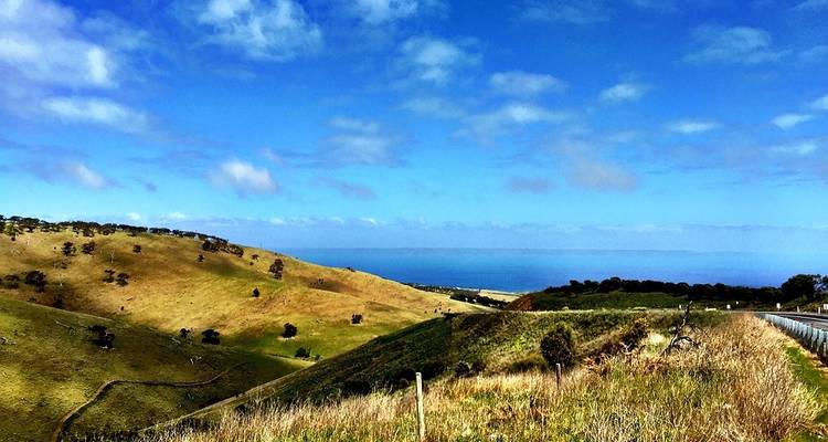 Escapada a la Great Ocean Road y la isla Canguro - 7 días - Trafalgar 3