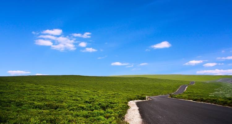 Escapada a la Great Ocean Road y la isla Canguro - 7 días - Trafalgar 1