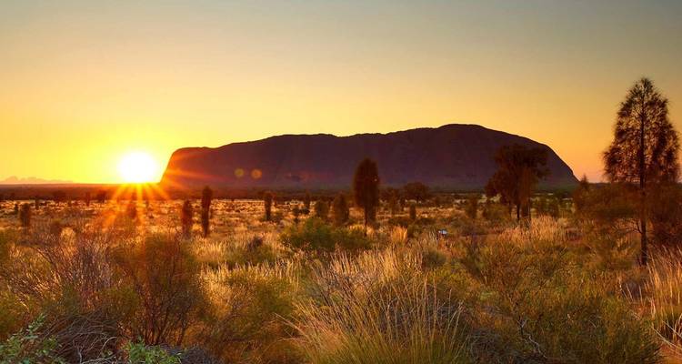 Die Sonne geht in einem goldenen Himmel über dem weiten roten Monolithen von Uluru unter, umgeben von Wüstengestrüpp.