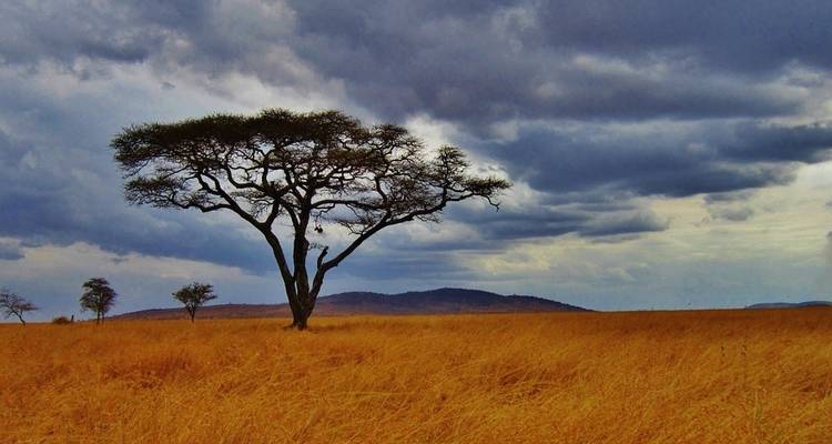 Serengeti clásico y Zanzíbar - G Adventures 8