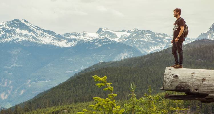 Un senderista solitario se equilibra en un tronco grande con vistas a valles boscosos infinitos y picos cubiertos de nieve.