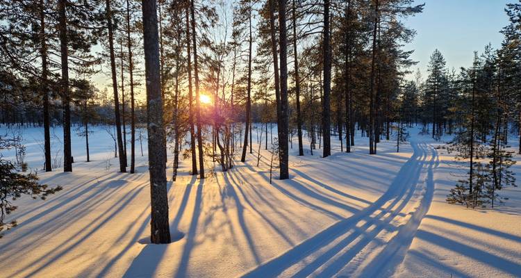 La nature sauvage de l'est de la Finlande - Upitrek 4