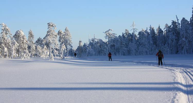 La nature sauvage de l'est de la Finlande - Upitrek 9