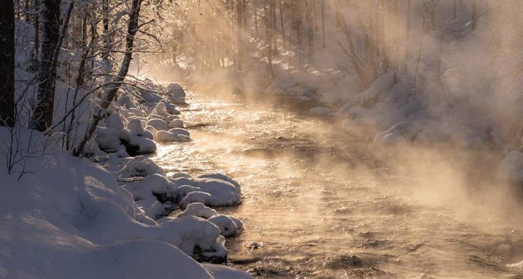 Off The Trails - Snowshoeing tour - Upitrek 9
