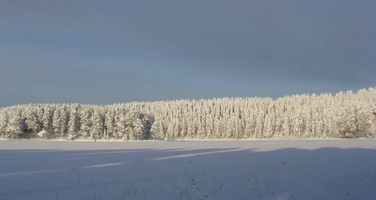 Diversión invernal en Finlandia - vacaciones multiactividad - Upitrek 9