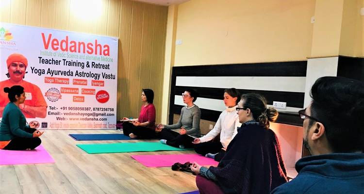 Formación de Profesores Certificada por la Alianza del Yoga de 200 horas en Rishikesh, India - Vedansha Yoga 9