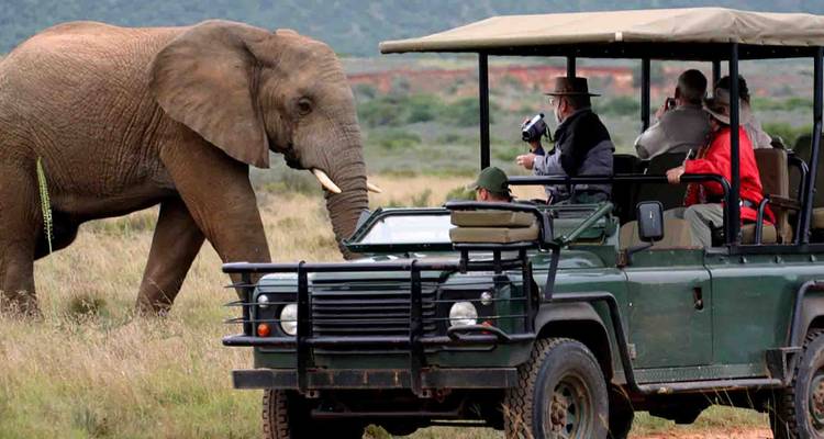 3-Day Trip To Akagera National Park - Golden Rwanda Safaris Ltd 4