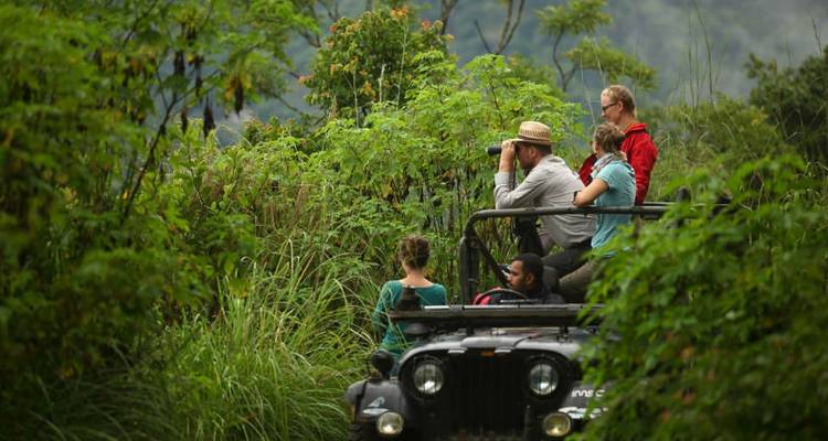 Golden Triangle Tour with Kerala - Panda Experiences 7