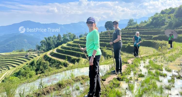 Three people walking through rice terraces with a travel logo watermark.