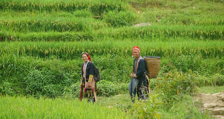 Deux personnes en tenue traditionnelle marchant à travers des champs en terrasses.