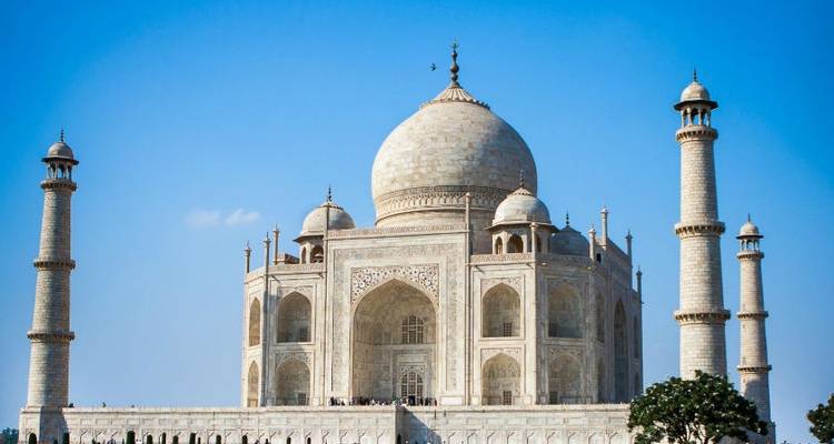 Best of North India Tour - Panda Experiences 3