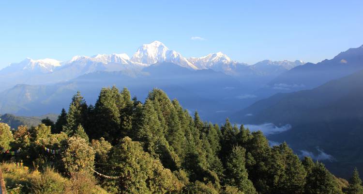 Excursión a Poon Hill - Frolic Adventure Pvt. Ltd. 4