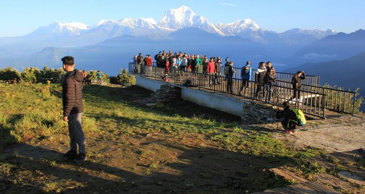 Excursión a Poon Hill - Frolic Adventure Pvt. Ltd. 6