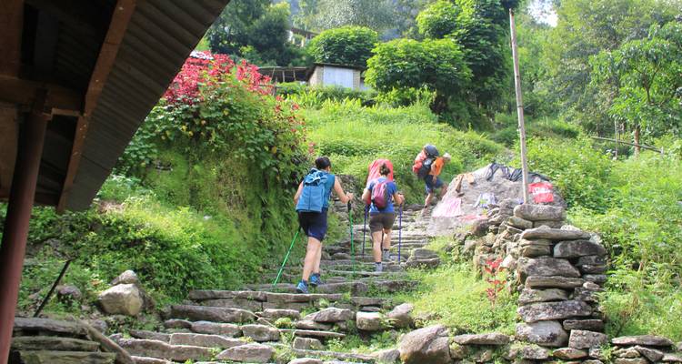 Excursión a Poon Hill - Frolic Adventure Pvt. Ltd. 7