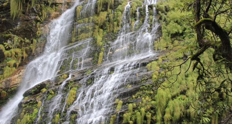 Excursionismo en campamento base del Annapurna 12 días - Frolic Adventure Pvt. Ltd. 3