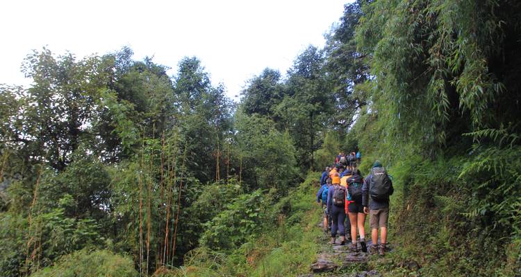 Excursionismo en campamento base del Annapurna 12 días - Frolic Adventure Pvt. Ltd. 4