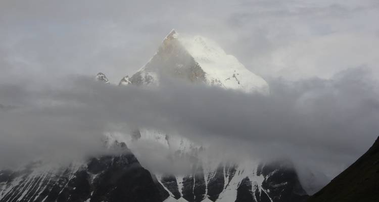 Excursionismo en campamento base del Annapurna 12 días - Frolic Adventure Pvt. Ltd. 8