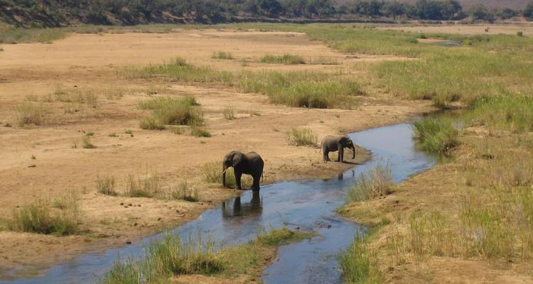Safari de 4 jours dans le parc national Kruger et sur la route des panoramas - The Mzansi Experience 4