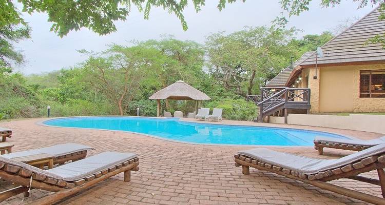Safari de 4 jours dans le parc national Kruger et sur la route des panoramas - The Mzansi Experience 6