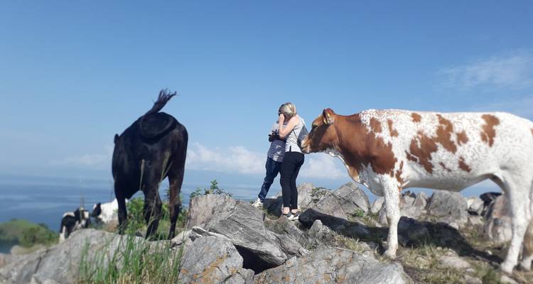 5 Days Discover Rwanda & Gorilla Trekking Adventure - New Horizon Africa Safaris 9