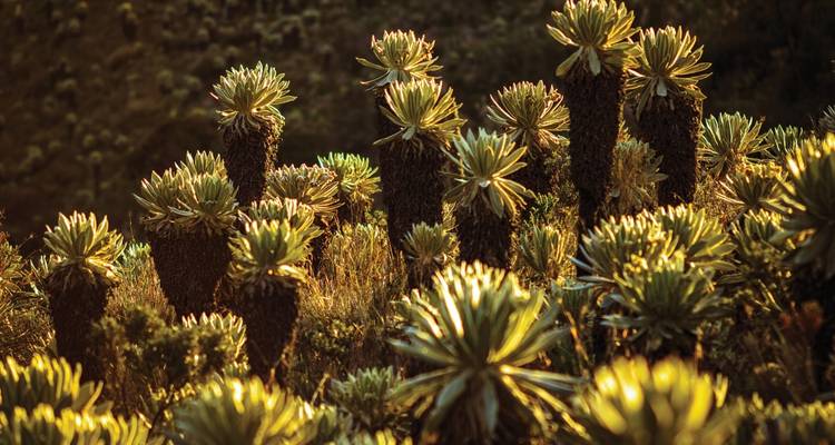 7 Days Gay Small Group Trip Wellness Retreat - Responsible Travel South America 2
