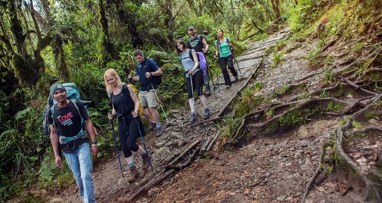 7 Días Escalada al Kilimanjaro - Ruta Machame - Exodus African Safari 1