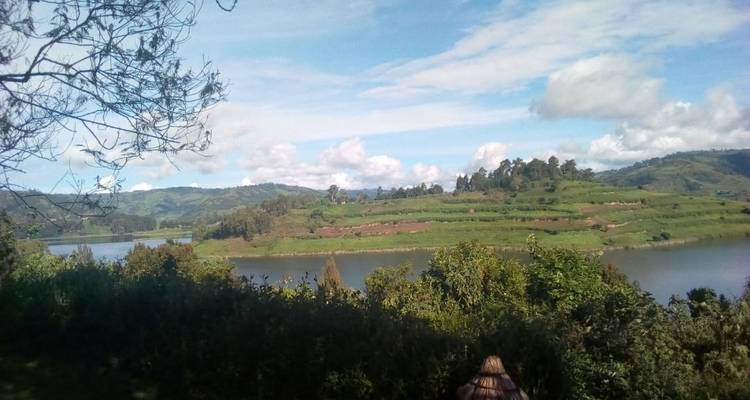 Safari de 8 jours à Kibale pour observer les gorilles et habituer les chimpanzés - Bamboo Ecotours 1