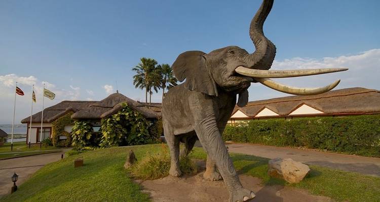 Safari de 8 jours à Kibale pour observer les gorilles et habituer les chimpanzés - Bamboo Ecotours 3