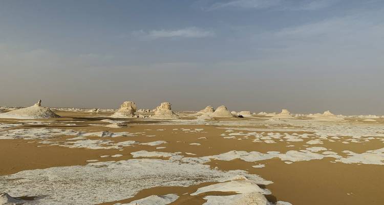 Safari dans le désert occidental - Let's Tour Egypt  10