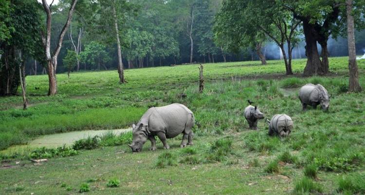 Weekend in Nepal - Chitwan Safari - Swotah Travel and Adventure 4