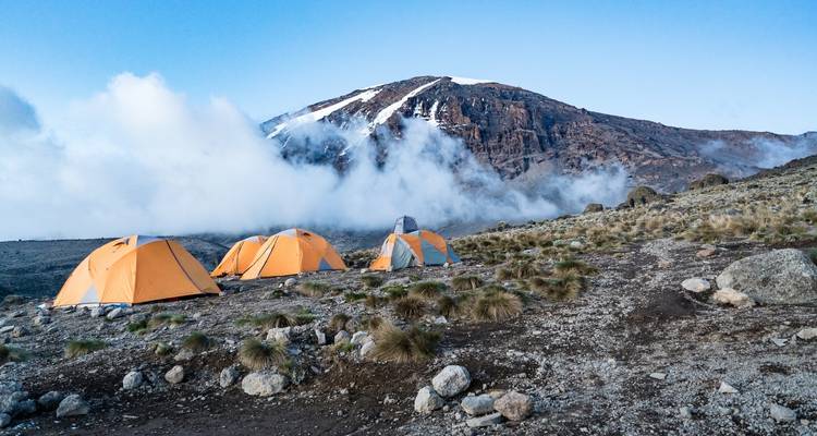 Excursión al Kilimanjaro - Ruta Machame - Shujaa tours 4