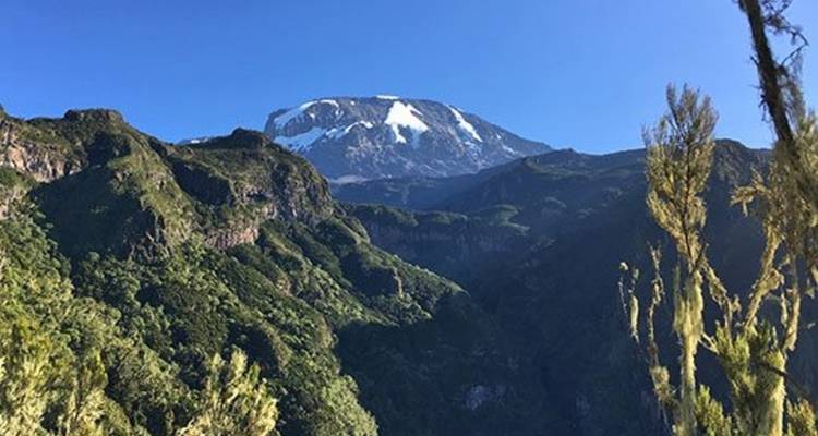 5 Days Kilimanjaro Sunrise Path - Shujaa tours 6