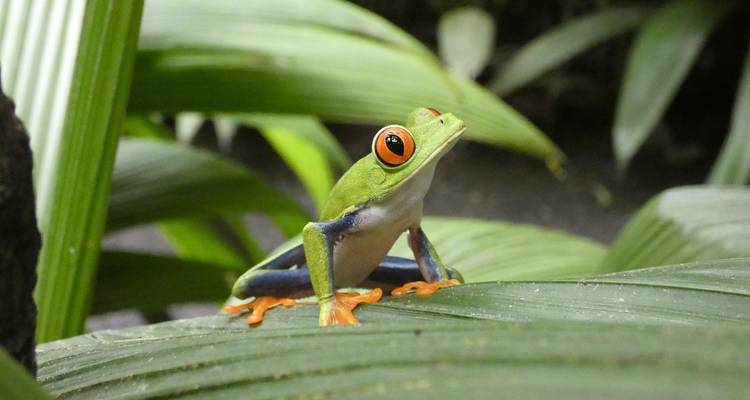 Bien- être au Costa Rica - G Adventures 9