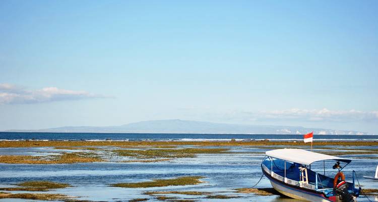 Bienestar en Bali - G Adventures 3