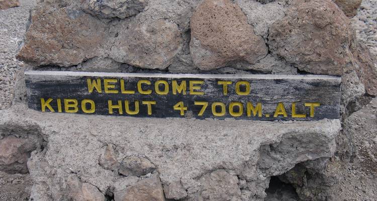 Kilimanjaro Climb  Rongai Route 6 day trek, 8 day tour - Nomadic Adventures 4