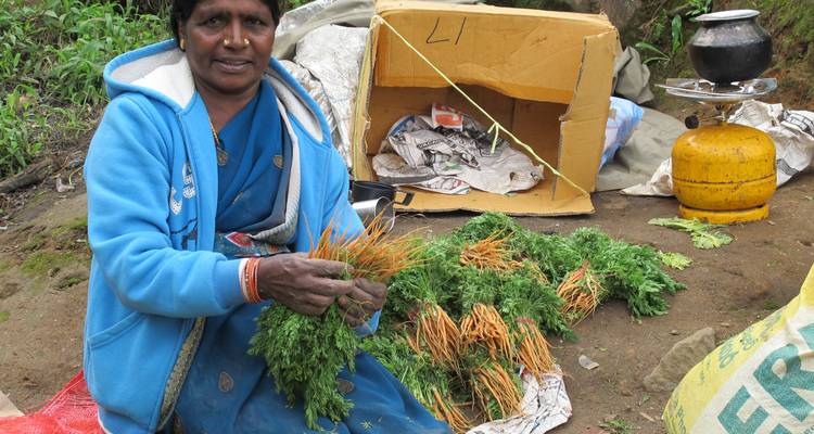 Les incontournables du Sri Lanka - 10 jours [ Economy ] - showlanka tours  7
