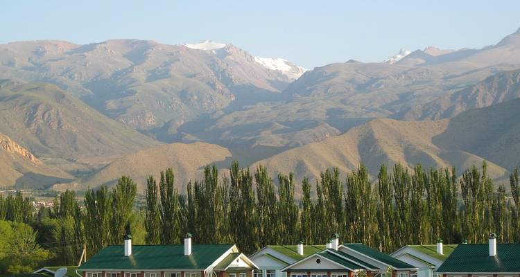 Una vista de montañas detrás de casas rodeadas de árboles.