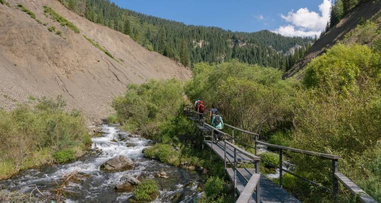 Excursionistas cruzando un puente de madera sobre un arroyo caudaloso en un valle montañoso boscoso