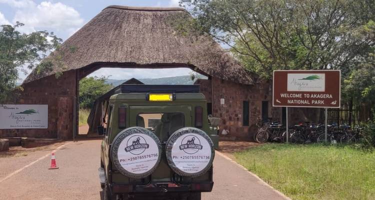 9 jours de safari et d'expérience avec les gorilles au Rwanda - New Horizon Africa Safaris 6