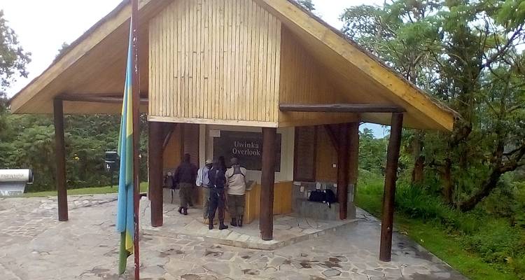 9 jours de safari et d'expérience avec les gorilles au Rwanda - New Horizon Africa Safaris 1