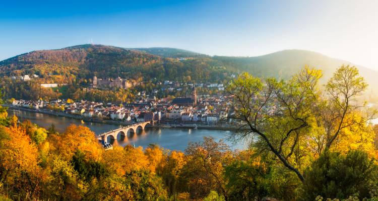 Autumn panorama over Heidelberg with old bridge and castle framed by colorful trees.
